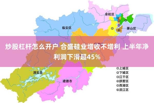 炒股杠杆怎么开户 合盛硅业增收不增利 上半年净利润下滑超45%