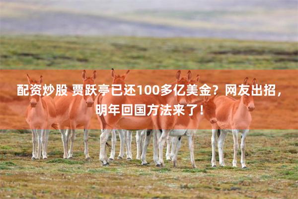 配资炒股 贾跃亭已还100多亿美金？网友出招，明年回国方法来了！