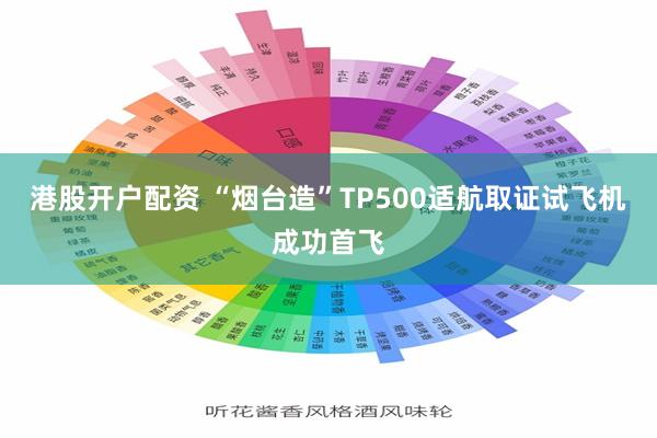 港股开户配资 “烟台造”TP500适航取证试飞机成功首飞