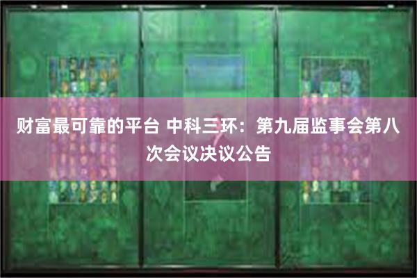 财富最可靠的平台 中科三环：第九届监事会第八次会议决议公告